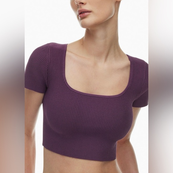 Babaton Tops - BABATON (Aritzia) Sculpt Knit Short Sleeve Crop Top. Ribbed. Medium.